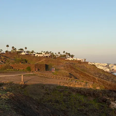 La Favorita فيلة