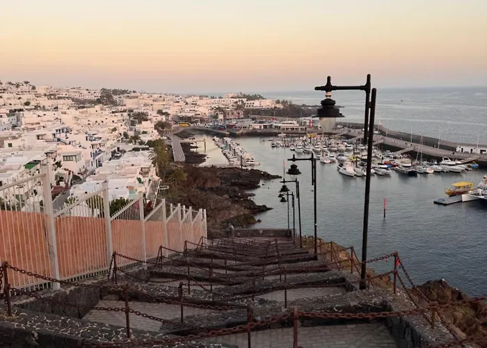 فيلة La Favorita *