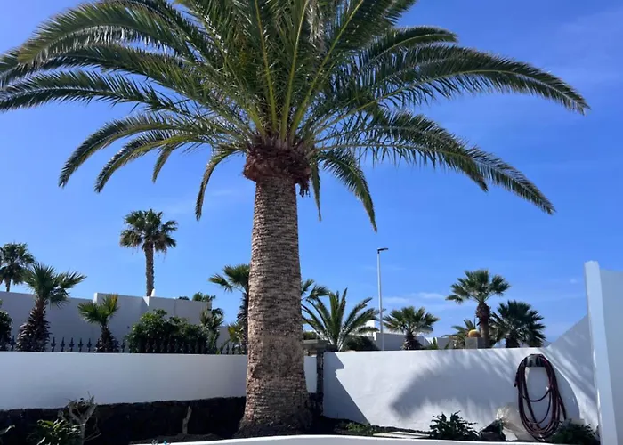 La Favorita 푸에르토 델 카르멘